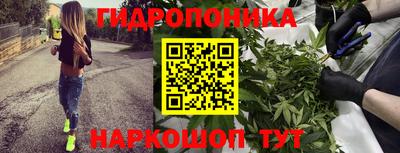 PSILOCYBIN Апшеронск