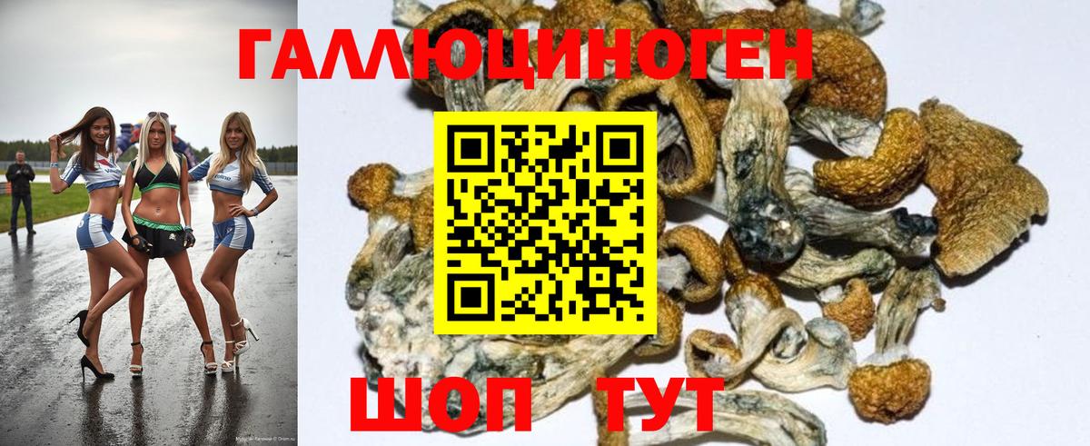 Псилоцибиновые грибы прущие грибы  Галлюциногенные грибы Magic Shrooms  Вход с VPN  Апрелевка 